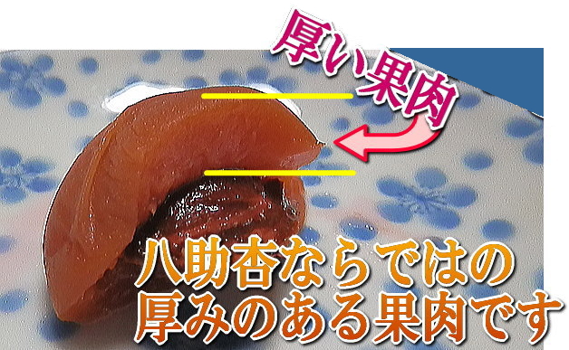 プリッとした果肉。八助杏ならではの厚みのある果肉です。