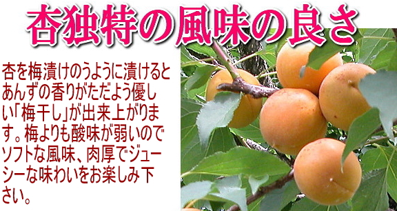 杏独特の風味の良さ。杏を梅漬けのように漬けると杏の香りがただよう優しい「梅干」が出来上がります。